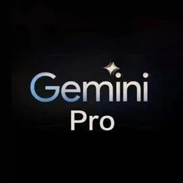Google AI Gemini Pro